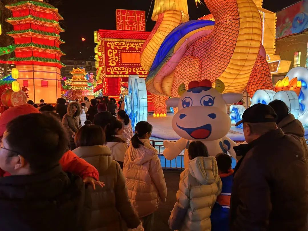 央視直播鄭州龍年燈會迎新春，花花牛品牌上大分