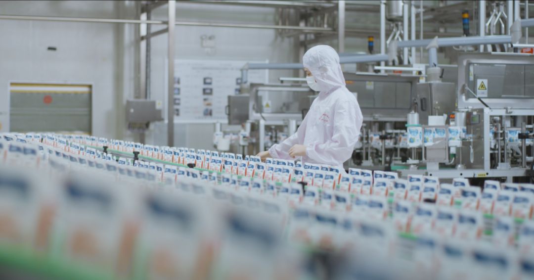 快訊 | 河南省人民政府食品安全委員會辦公室第三批食品安全示范區(qū)驗收組領導蒞臨花花牛乳業(yè)集團驗收食品安全示范區(qū)建設情況 快訊 | 河南省人民政府食品安全委員會辦公室第三批食品安全示范區(qū)驗收組領導蒞臨花花牛乳業(yè)集團驗收食品安全示范區(qū)建設情況