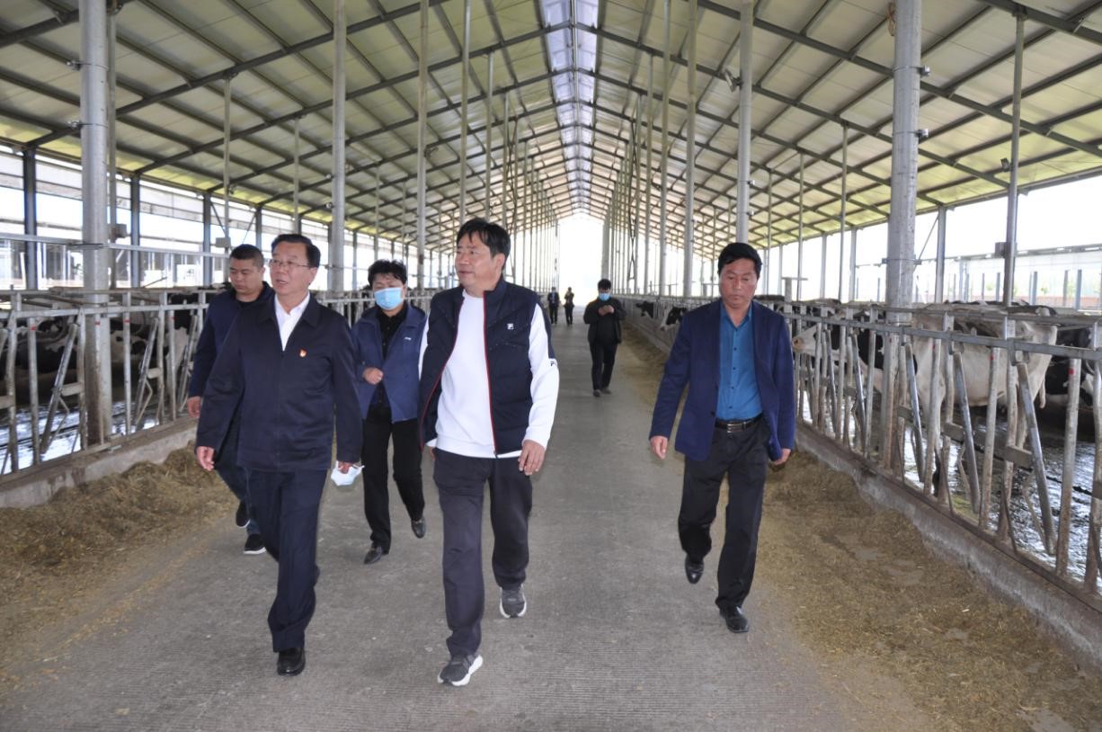 商丘市委常委、宣傳部部長王全周一行蒞臨睢縣瑞亞牧業(yè)有限公司調(diào)研