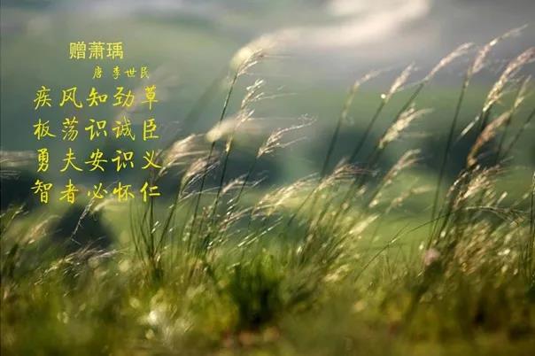花花牛 | 疾風(fēng)來臨，你是不是勁草？