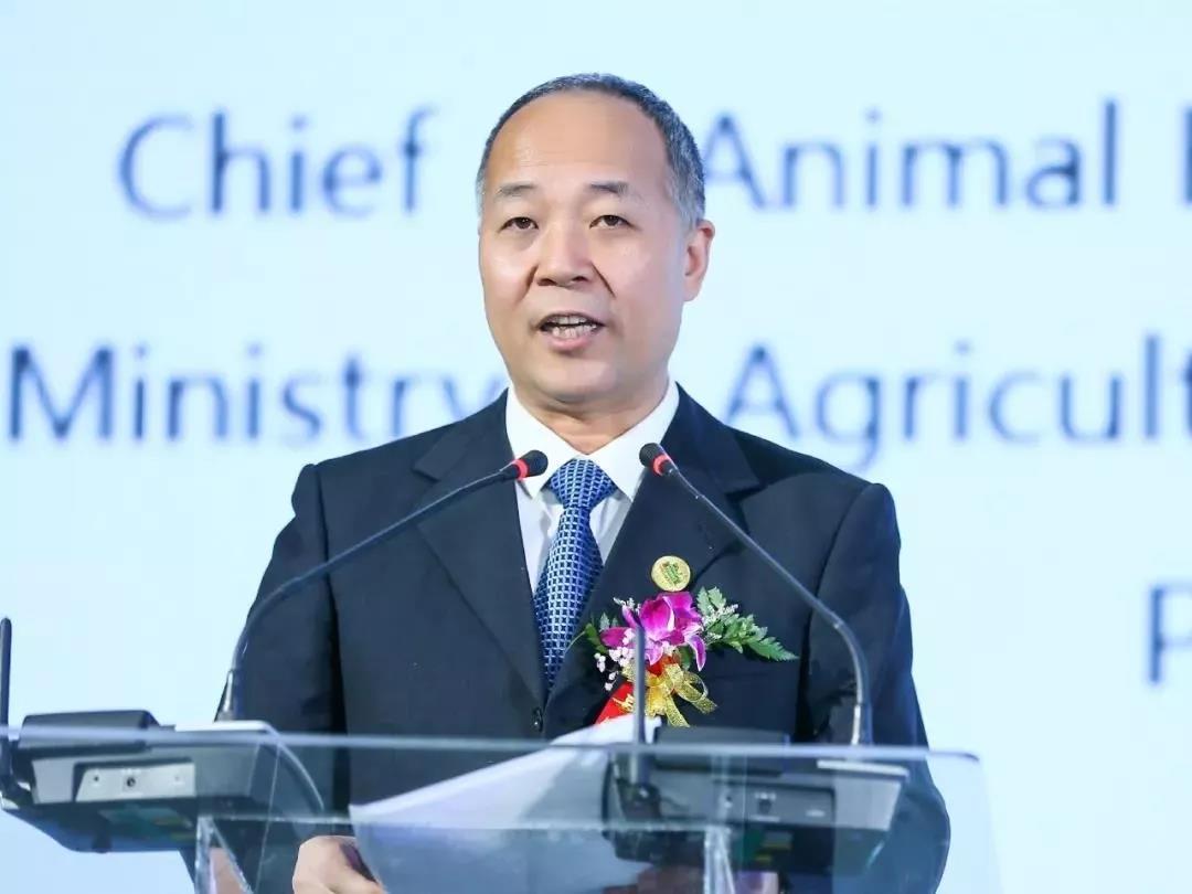 SDDDC走進(jìn)河南，看看花花牛的國(guó)際范兒！