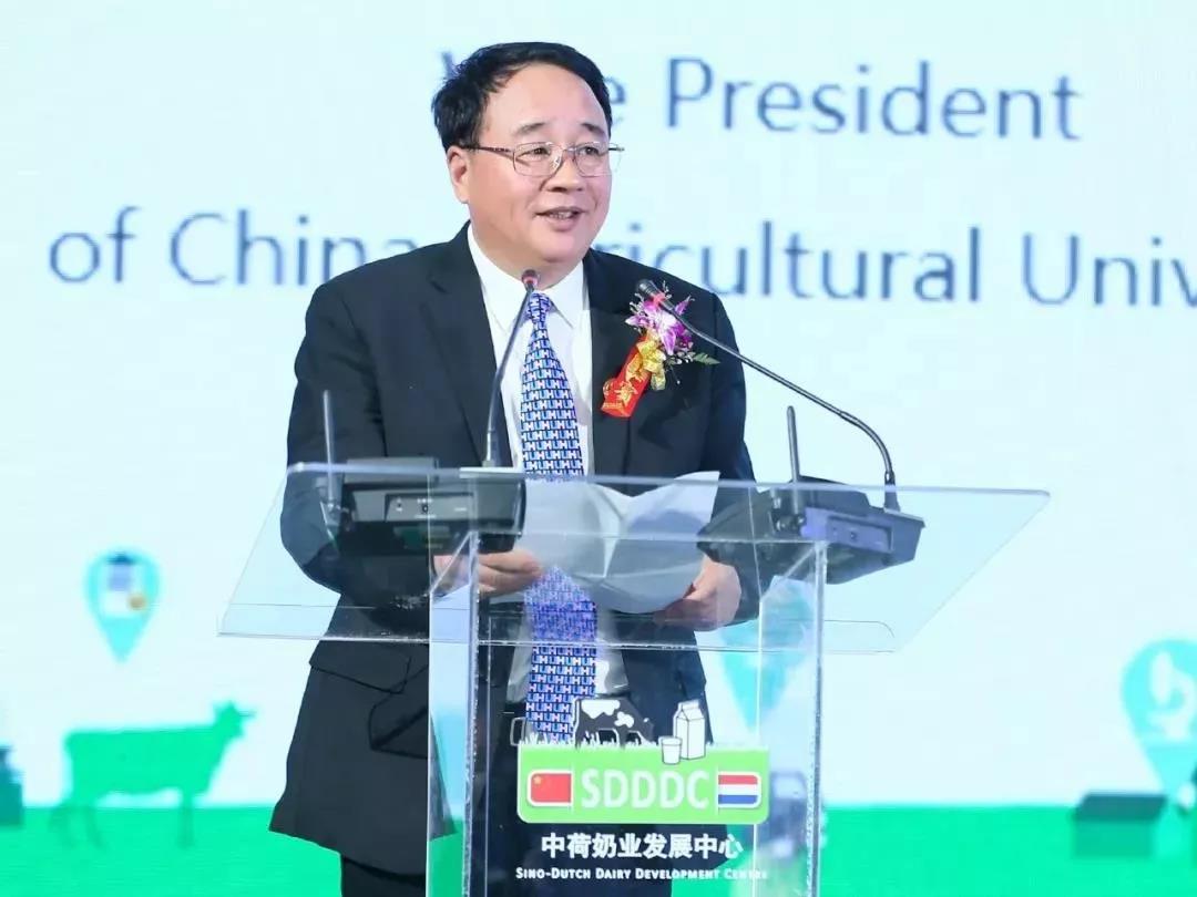 SDDDC走進(jìn)河南，看看花花牛的國(guó)際范兒！