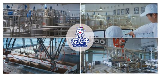 榮獲全國(guó)“質(zhì)量月”五項(xiàng)大獎(jiǎng)，花花牛真牛！