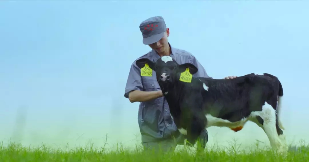 喜報 | 國家市場監(jiān)管總局抽檢，花花牛等112家企業(yè)乳品抽檢全部合格