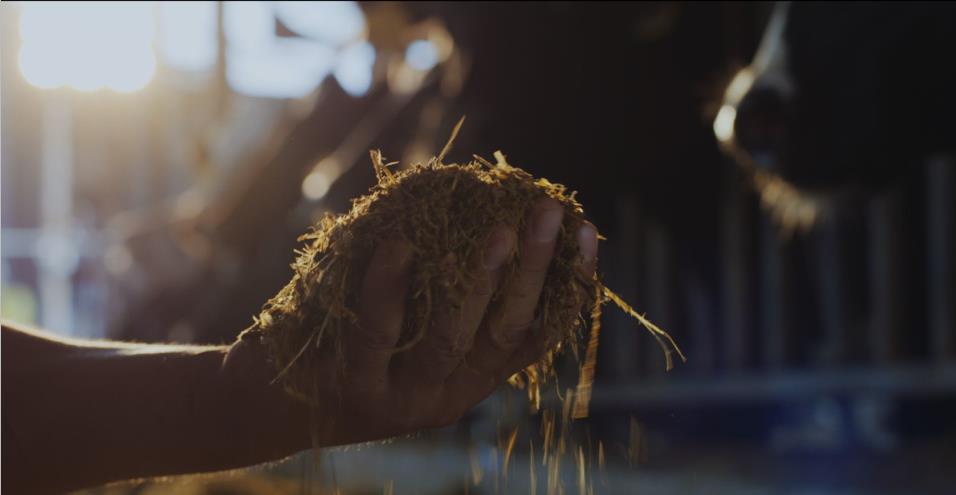 又雙叒叕獲獎(jiǎng)啦！花花牛榮獲“乳品質(zhì)量安全管理 優(yōu)秀企業(yè)”