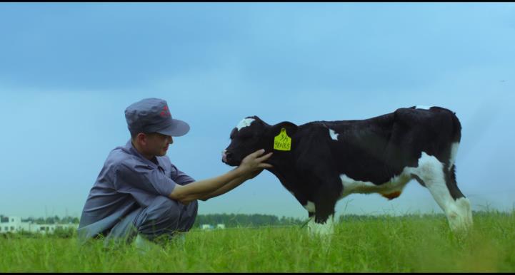 又雙叒叕獲獎(jiǎng)啦！花花牛榮獲“乳品質(zhì)量安全管理 優(yōu)秀企業(yè)”