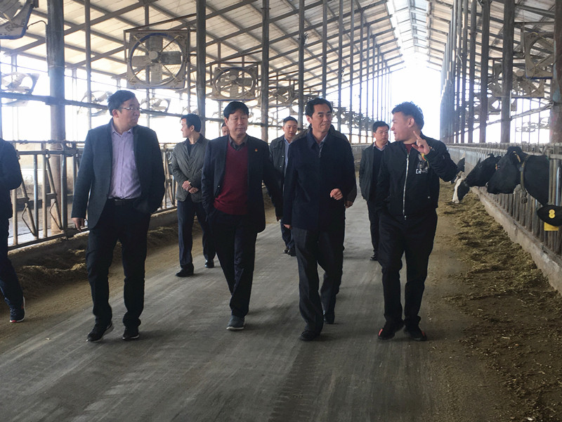 封丘縣縣長(zhǎng)王獻(xiàn)臣一行蒞臨 花花牛集團(tuán)養(yǎng)殖、乳品事業(yè)部參觀調(diào)研